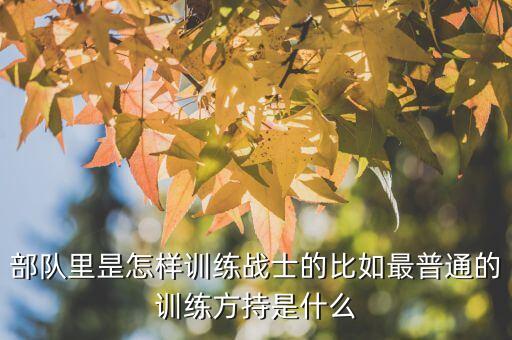 部队教学法八个训练方法，部队体能训练方法
