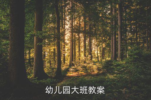 幼儿园大班教案