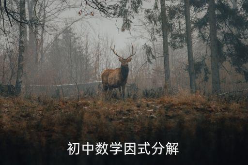初中数学因式分解教案，初中数学因式分解