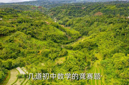 几道初中数学的竞赛题