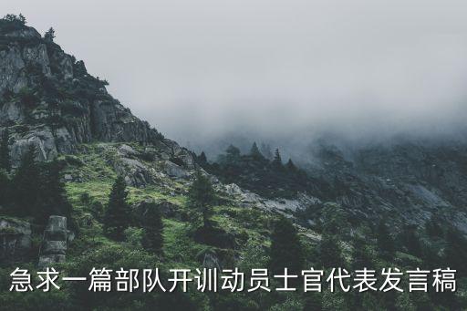 急求一篇部队开训动员士官代表发言稿