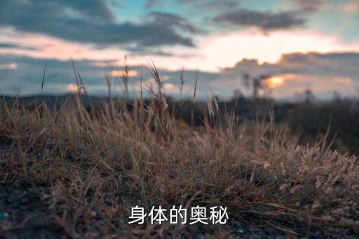 身体的秘密教案中班，身体的秘密