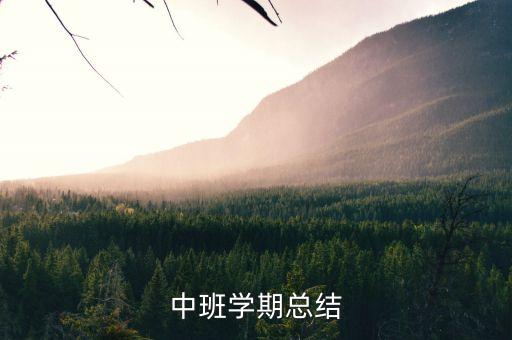中班学期总结