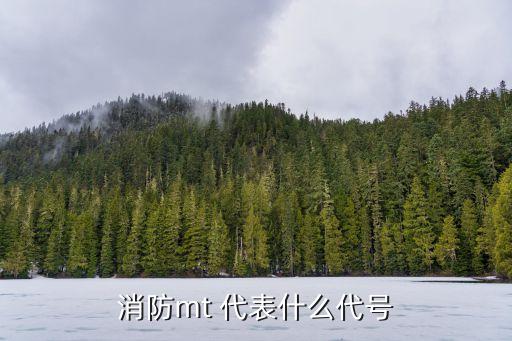 MT表示什么灭火器，灭火器怎样编号