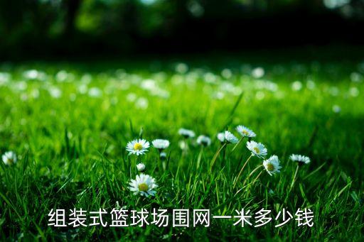 篮球场围网，组装式篮球场围网一米多少钱