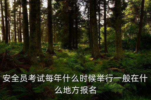 安全员考试每年什么时候举行一般在什么地方报名