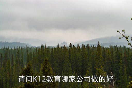 请问K12教育哪家公司做的好