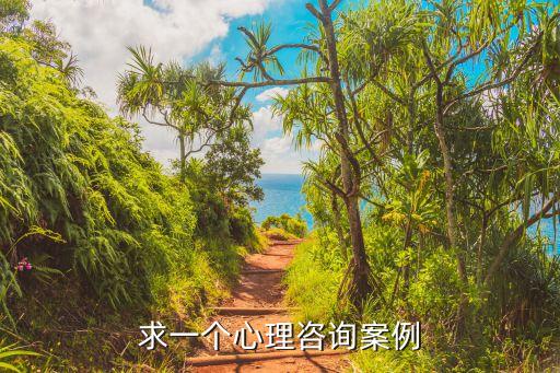 求一个心理咨询案例