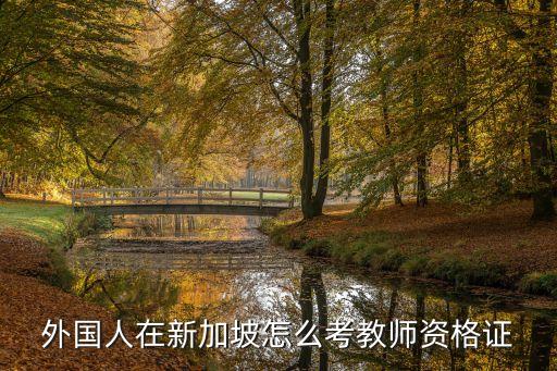 外国人在新加坡怎么考教师资格证