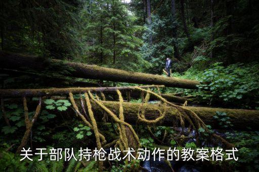 关于部队持枪战术动作的教案格式