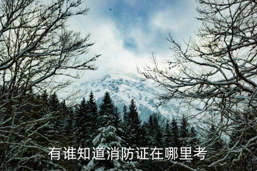 有谁知道消防证在哪里考