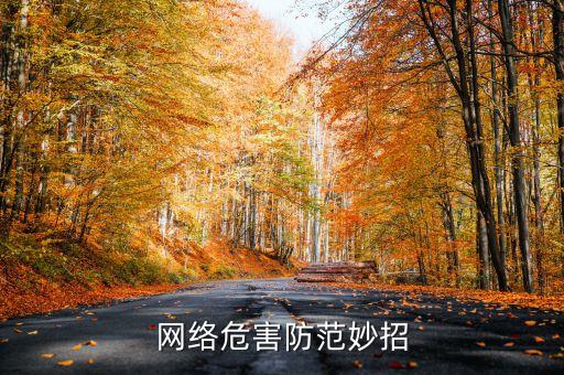 网络危害防范妙招