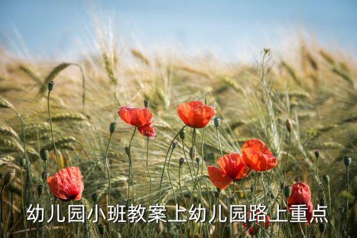 幼儿园小班教案上幼儿园路上重点