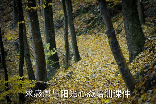 心态培训课程名称，求感恩与阳光心态培训课件