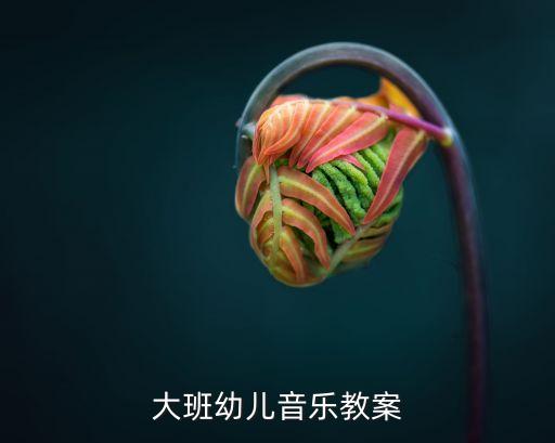 幼儿园大班音乐活动教案大全，大班幼儿音乐教案