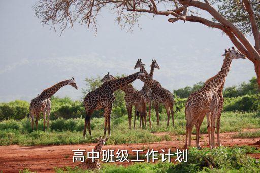 高中班级工作计划