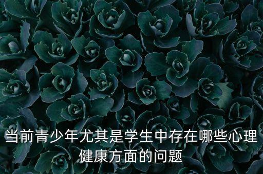 当前青少年尤其是学生中存在哪些心理健康方面的问题
