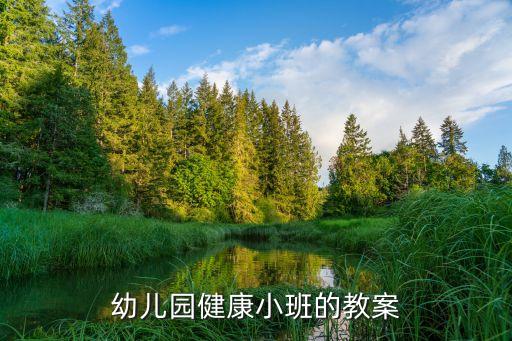 小班健康教案大全集200页，幼儿园健康小班的教案