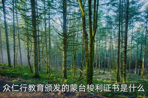 蒙台梭利幼儿教育证书，蒙台梭利早教证书怎么考需要什么条件