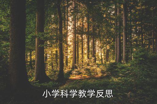 小学科学教学反思