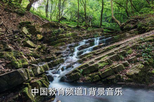 教育在线教育平台直播九一八，中国教育频道1背景音乐