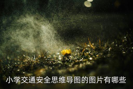 小学交通安全思维导图的图片有哪些