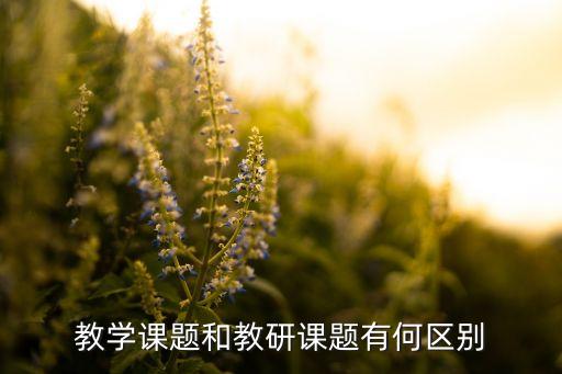 教学课题，小学三年级英语可以做哪些教学研究课题