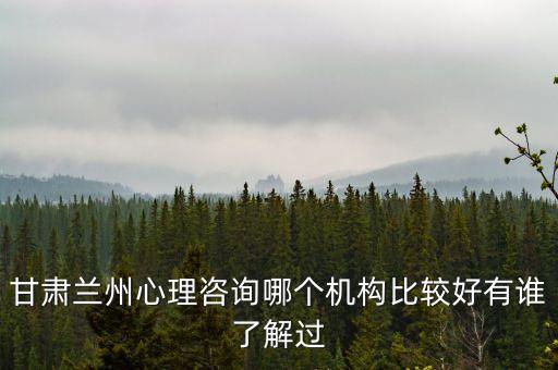 甘肃兰州心理咨询哪个机构比较好有谁了解过