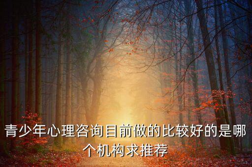 青少年心理咨询目前做的比较好的是哪个机构求推荐