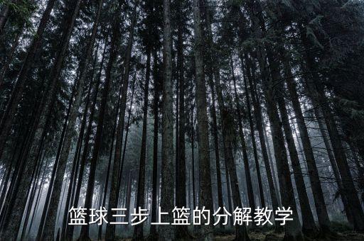 篮球三步上篮的分解教学