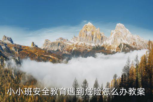 小小班安全教育遇到危险怎么办教案