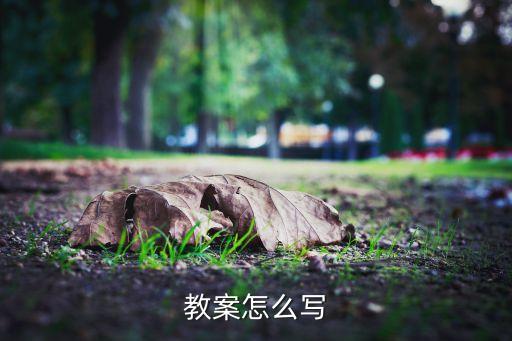 教案怎么写