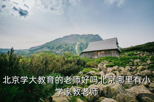 北京学大教育的老师好吗北京哪里有小学家教老师