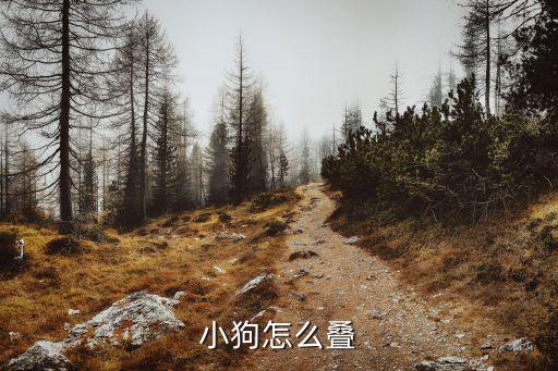 小班折纸活动教案小狗，怎样教小朋友折小花狗