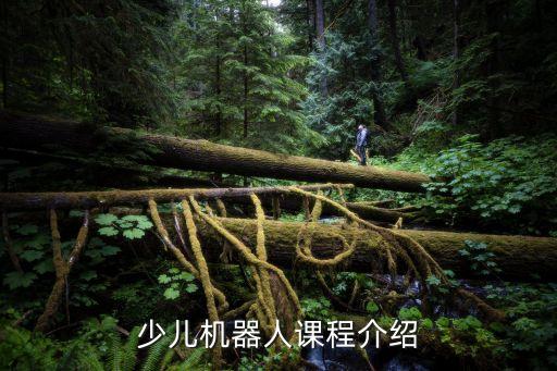 少儿机器人课程介绍