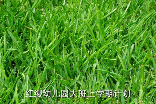 红缨幼儿园大班上学期计划