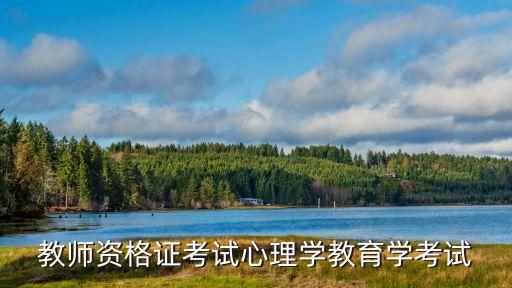教师资格证考试心理学教育学考试