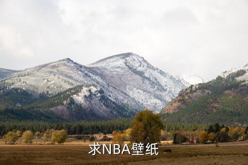 求NBA壁纸