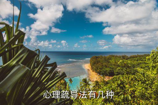 心理疏导法有几种