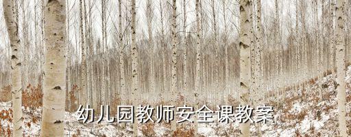 幼儿园教师安全课教案