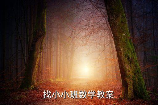 找小小班数学教案