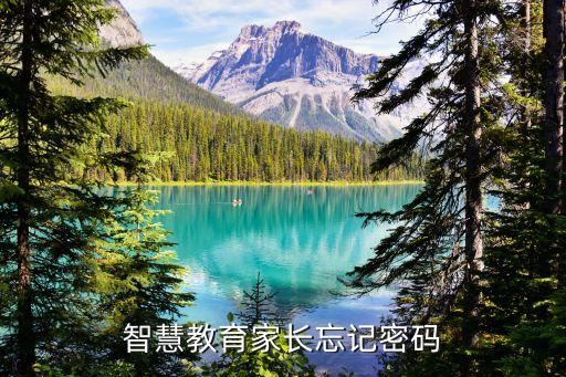 智慧教育家长忘记密码