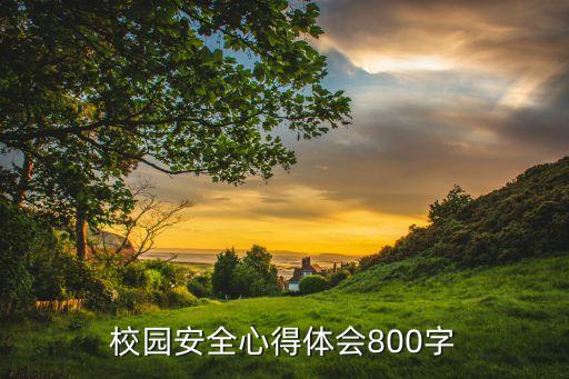 校园安全心得体会800字
