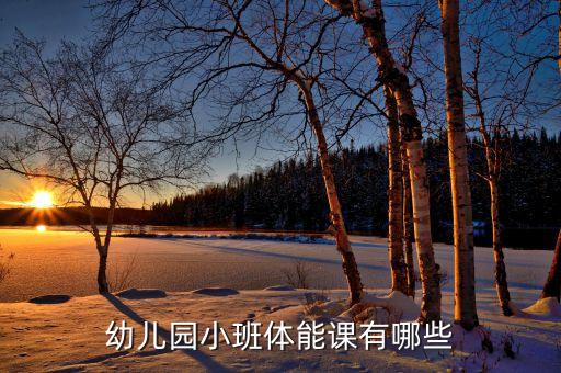 幼儿园小班都有哪些课程，幼儿园小班体能课有哪些