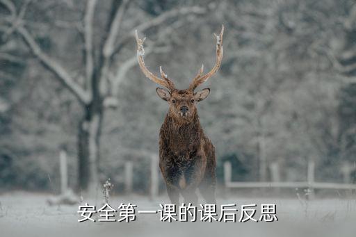 安全第一课的课后反思