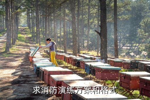 求消防演练方案和格式