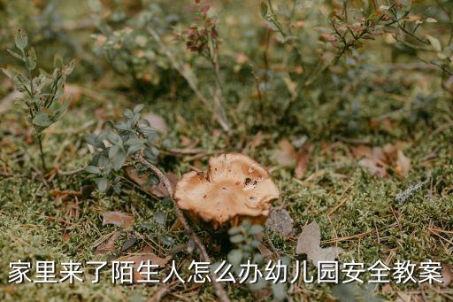 中班安全教案防拐骗反思，怎样教育幼儿防拐骗