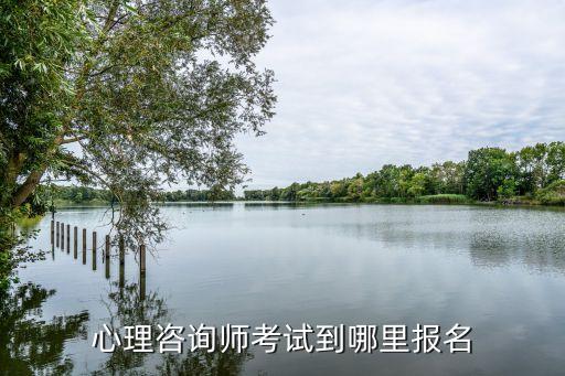 心理健康资格证报名入口，心理咨询师考试到哪里报名