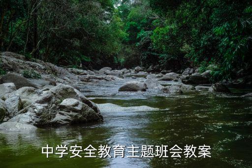 中学安全教育主题班会教案
