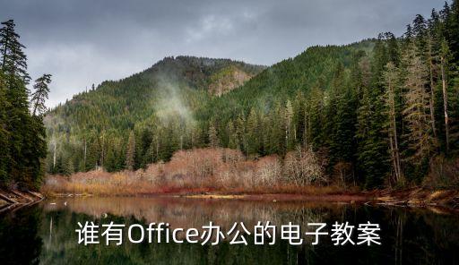 谁有Office办公的电子教案